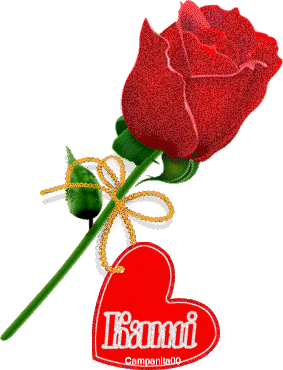 une rose 