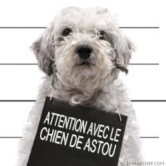 chien