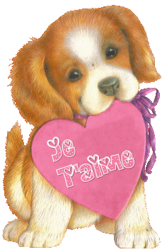 je t'aime 
