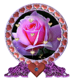 bel image